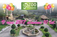 /album/fotogalerie-zoo-dvorec-u-borovan-park-exotickych-zvirat/dvorec-u-borovan-zoo-jpg/